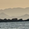 美客多运营主管（双休）