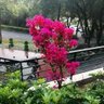 广东揭阳揭西县棉湖镇