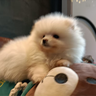 洗车工