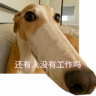 哥们暑假就差你了！230/天来3个保安看仓库