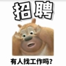 长沙保洁直招包吃住入职安排宿舍