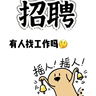 山东青岛市南区提车地点：临沂市兰陵县经济开发区顺和路西段农场西段98号-岗位职责：负责车辆泊运工作，驾
