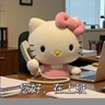 线上行政支持专员