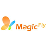 上海魔飞企业管理咨询有限公司