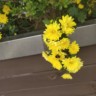 青岛平度市安保150一天管住不管吃月结