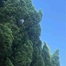 西宁湟中区长期焊工要求双证（焊工证高处作业证）会焊管道一类（非高压管道）轧钢市场附近甘河滩工作地点中