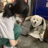 急聘搬运工253一天无需经验