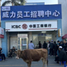 广东中山（装配工）主要工作职责：打螺丝，贴标签，绑扎带，封纸箱，打包装，放配件，插线等岗位。（注塑工