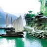调香师分析师