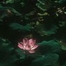 咖啡师，值班主管
