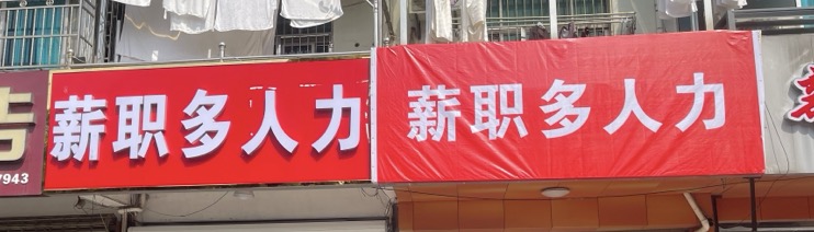 魚泡網(wǎng)
