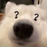 经理助理秘书月薪万元以上轻松