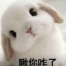 长白班260元/天包吃住