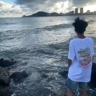 大理南涧彝族白族自治州公郎乡营盘山招光伏安装招聘光伏工程安装团队,茶树地里,地势平坦,单立