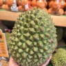 百果园营业员