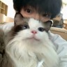销售专员,资源