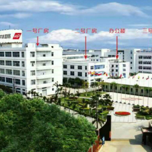 艾派集团中国有限公司