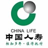 售后专员