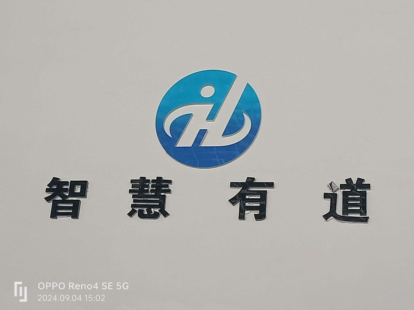 魚泡網(wǎng)