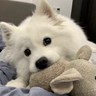 人事