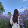 网约车司机日结