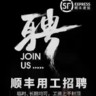 顺丰快递员