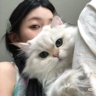 星巴克专送！单价高！当天日结350！