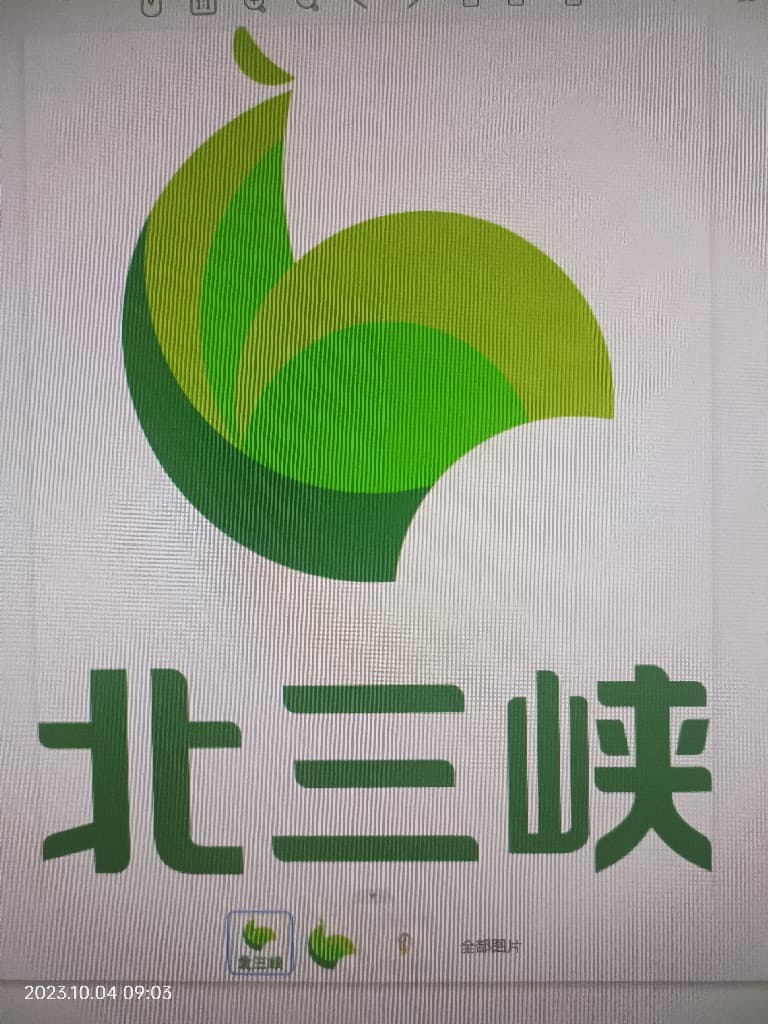 鱼泡网