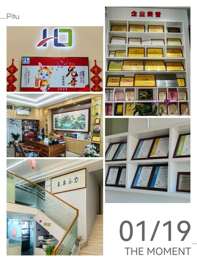 魚泡網
