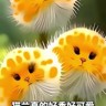 甘肃张掖招工人砍葵花