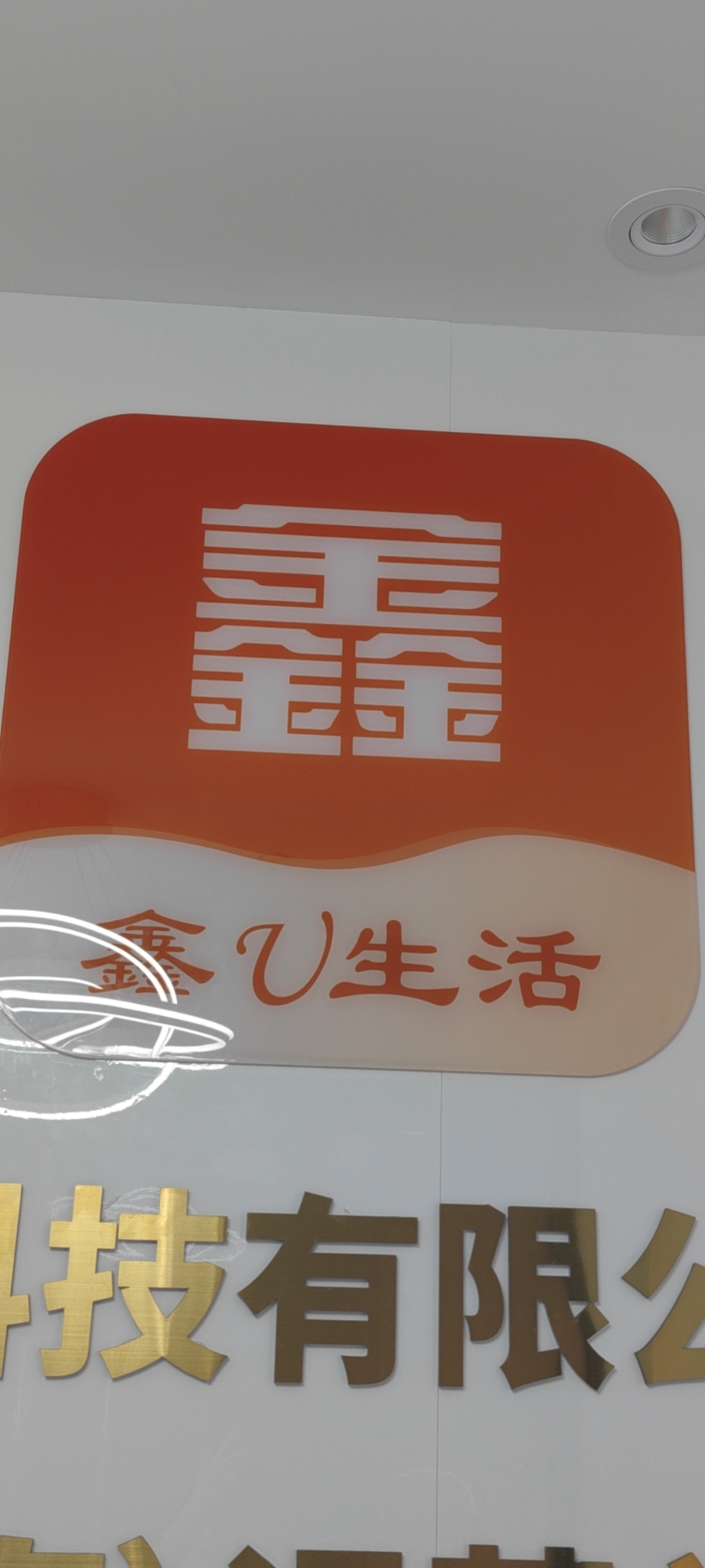 魚泡網