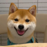小红书图文运营兼职