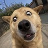 人事