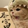 发型设计师