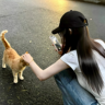 特斯La配件/320一天可日结长白班+入职奖2500/打包+组装+贴标签+岗位自选+包吃包住+不限经验