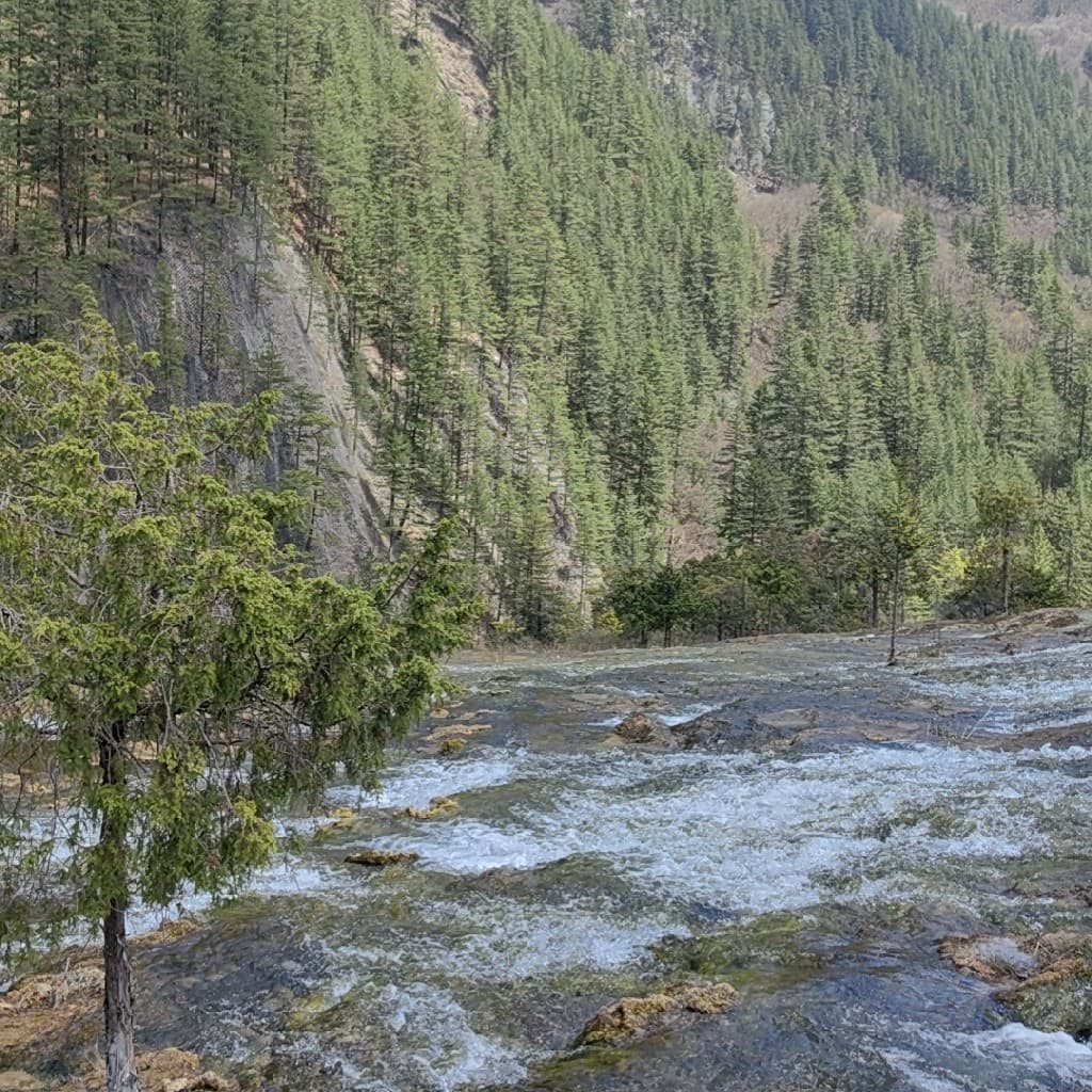 企业发布信息图