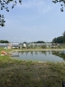 北京顺义区农场工作，4个冬季大棚，室外15亩左右的大田种植应季粮食，养殖是普通家禽类鸡和鹅