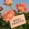 美容学徒，化妆，美甲学徒