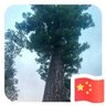维修电工