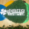 招聘厨师一名