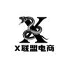 跨境电商合伙人