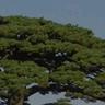 焦作修武县招看图纸,套丝小工。