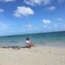 厦门海沧区招管道安装/维修、爬架/提升架要求有登高证薪资电议左