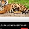 北京海淀区召地下室。召二次结构瓦工师傅三四个人工砌砖加气块，长期工住工地，详细情况电话