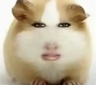 抖音直播带货达人