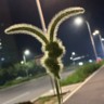 要20个扫码员，240一天，随走随结