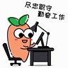 招聘人事专员