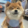 包吃包住