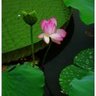 西藏林芝波密县招隧道小工/杂工