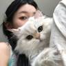 新开产线急聘轻松普工 ！【长白班不熬夜】 空调坐班 独立岗位 高工资7K+